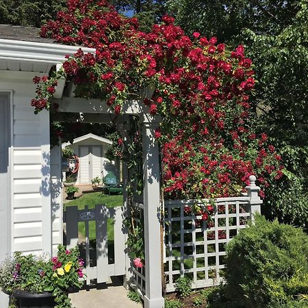 Alexandria House Bed & Breakfast كيلونا الغربية المظهر الخارجي الصورة