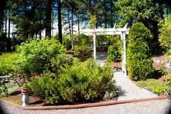 Alexandria House Bed & Breakfast كيلونا الغربية المظهر الخارجي الصورة