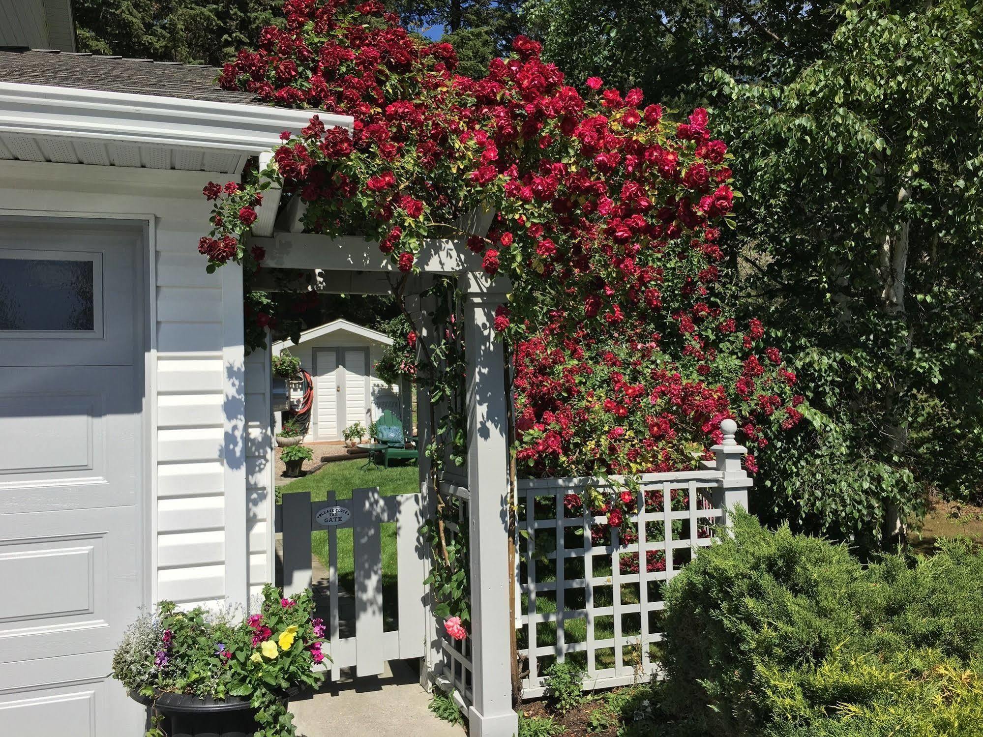 Alexandria House Bed & Breakfast كيلونا الغربية المظهر الخارجي الصورة
